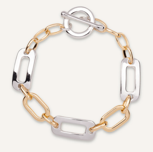 Beautiful Mixed Tone Link Braclet