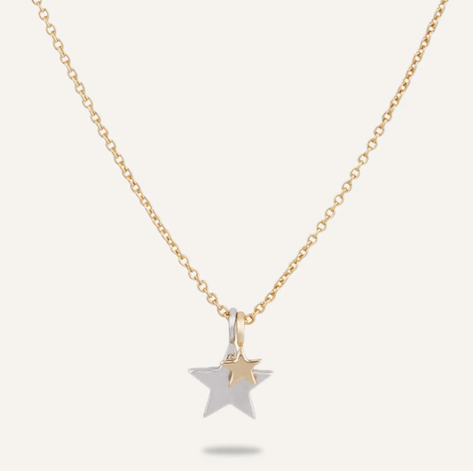 Double Star Two-Tone Neckless